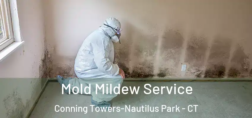 Mold Mildew Service Conning Towers-Nautilus Park - CT