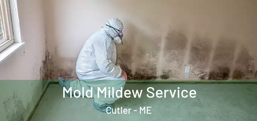  Mold Mildew Service Cutler - ME