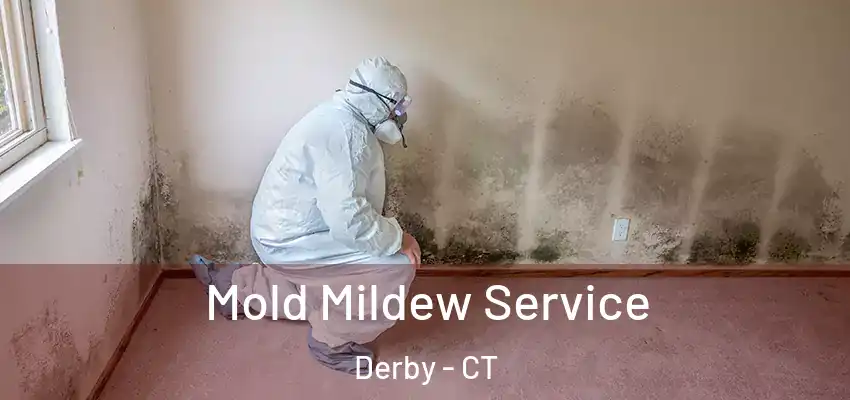 Mold Mildew Service Derby - CT