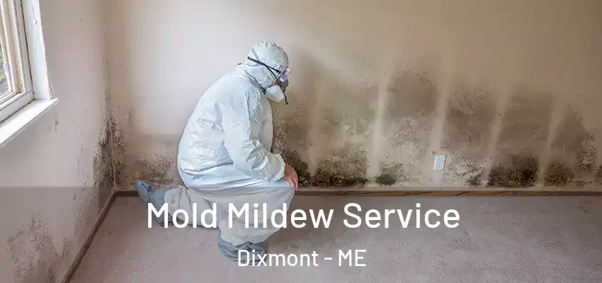 Mold Mildew Service Dixmont - ME