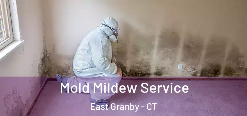  Mold Mildew Service East Granby - CT