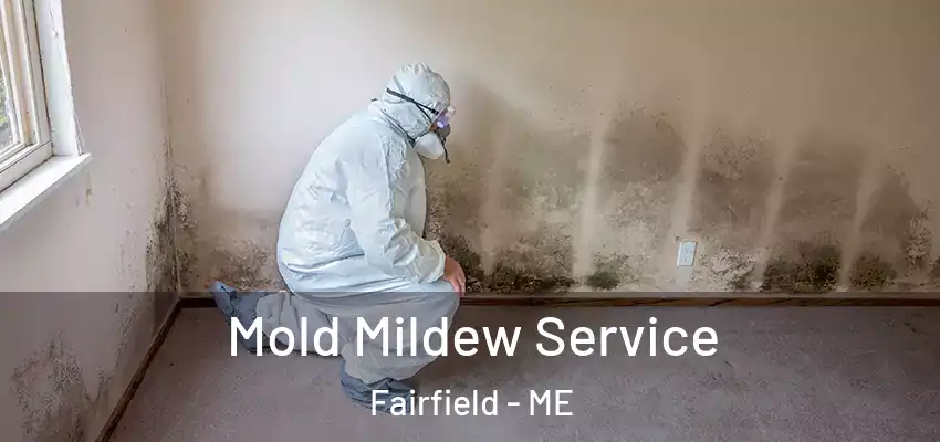 Mold Mildew Service Fairfield - ME