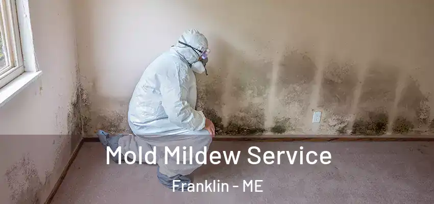 Mold Mildew Service Franklin - ME