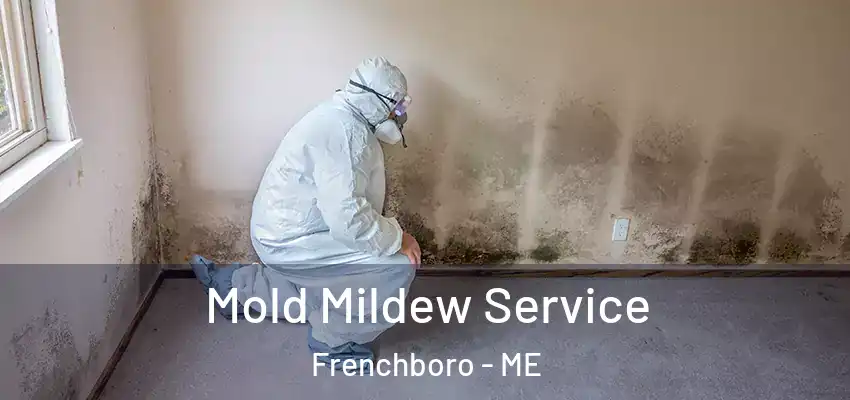  Mold Mildew Service Frenchboro - ME