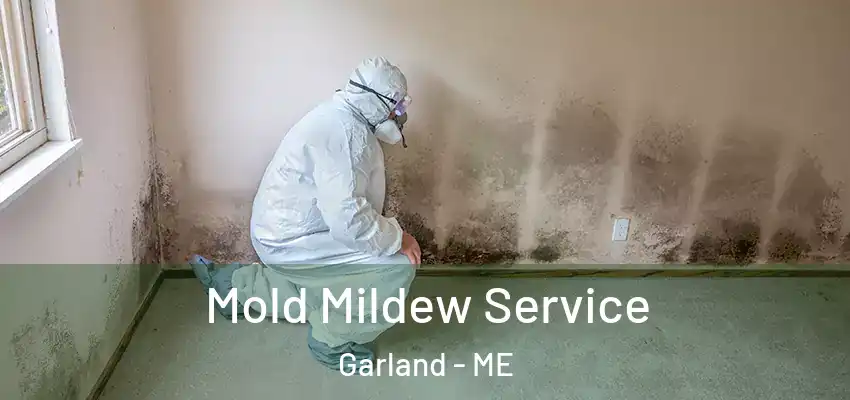  Mold Mildew Service Garland - ME