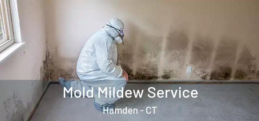 Mold Mildew Service Hamden - CT