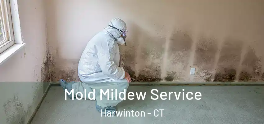 Mold Mildew Service Harwinton - CT