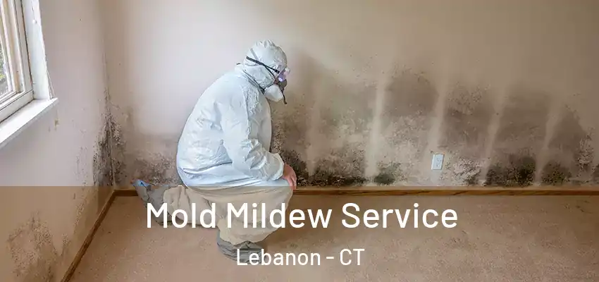  Mold Mildew Service Lebanon - CT