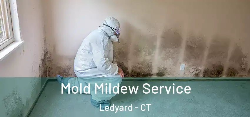 Mold Mildew Service Ledyard - CT