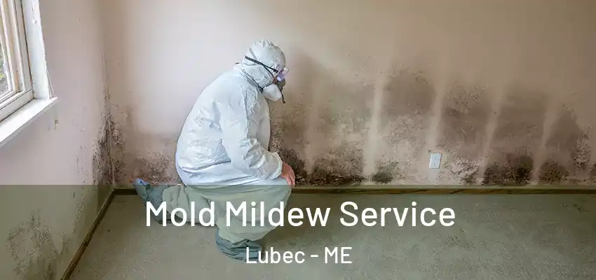 Mold Mildew Service Lubec - ME