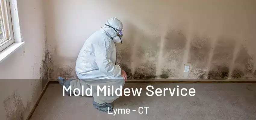 Mold Mildew Service Lyme - CT
