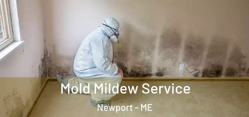  Mold Mildew Service Newport - ME