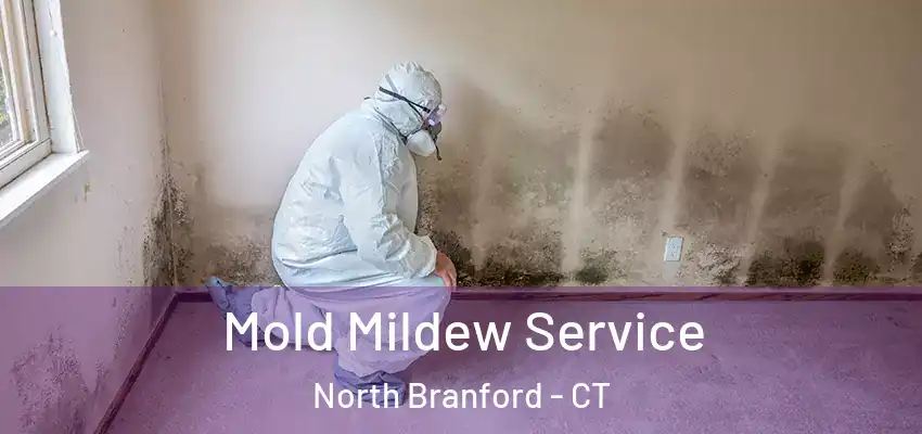 Mold Mildew Service North Branford - CT