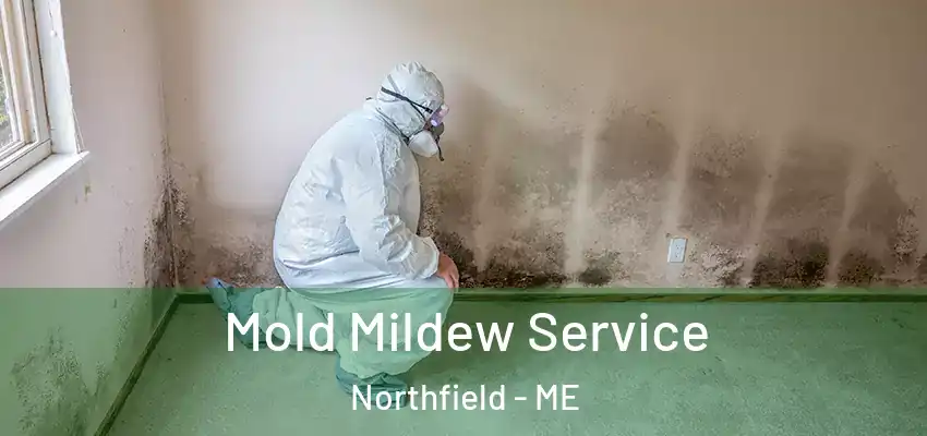  Mold Mildew Service Northfield - ME