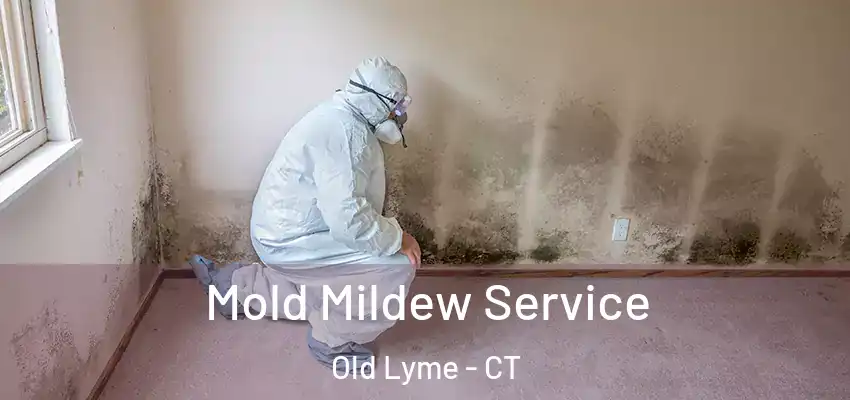  Mold Mildew Service Old Lyme - CT