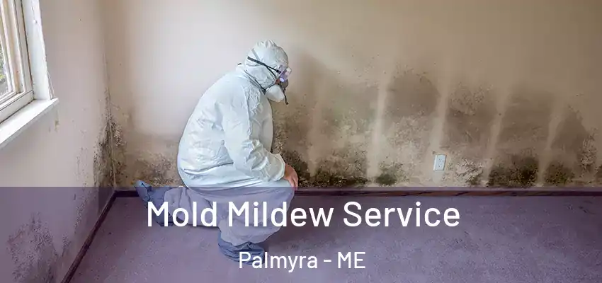  Mold Mildew Service Palmyra - ME