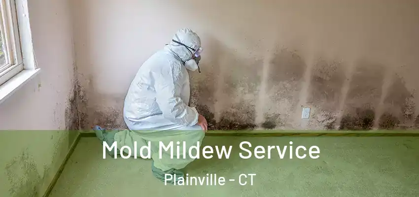  Mold Mildew Service Plainville - CT