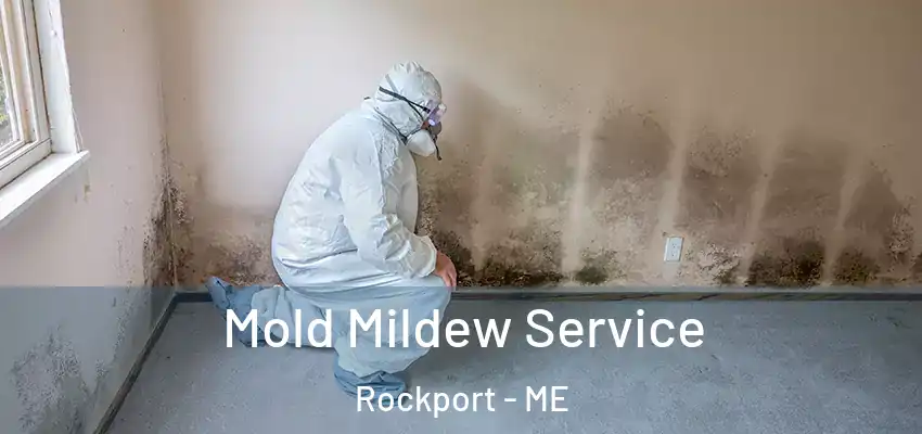 Mold Mildew Service Rockport - ME