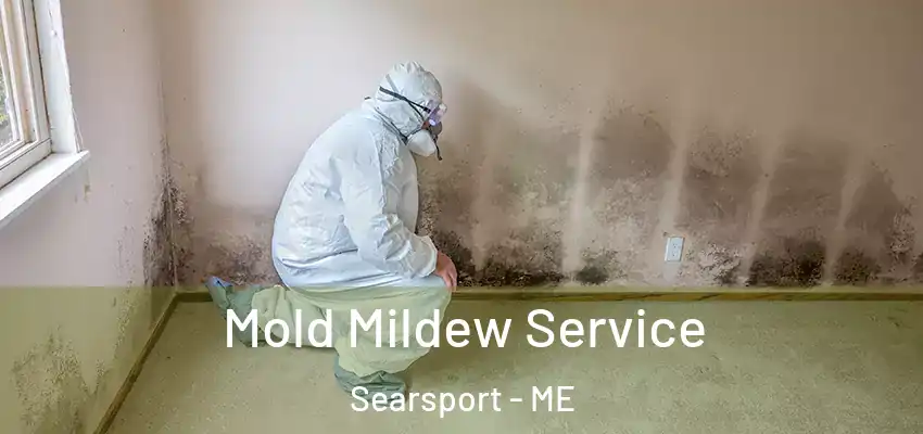  Mold Mildew Service Searsport - ME