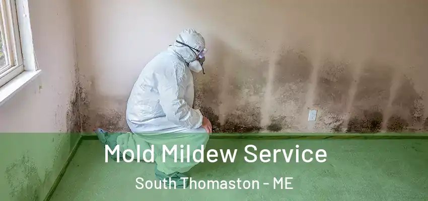  Mold Mildew Service South Thomaston - ME