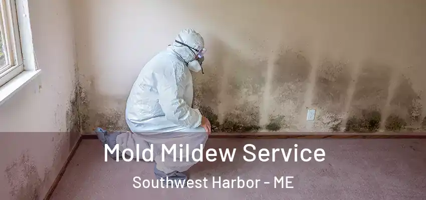  Mold Mildew Service Southwest Harbor - ME