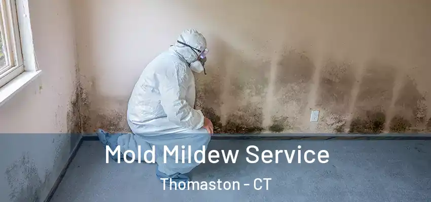 Mold Mildew Service Thomaston - CT