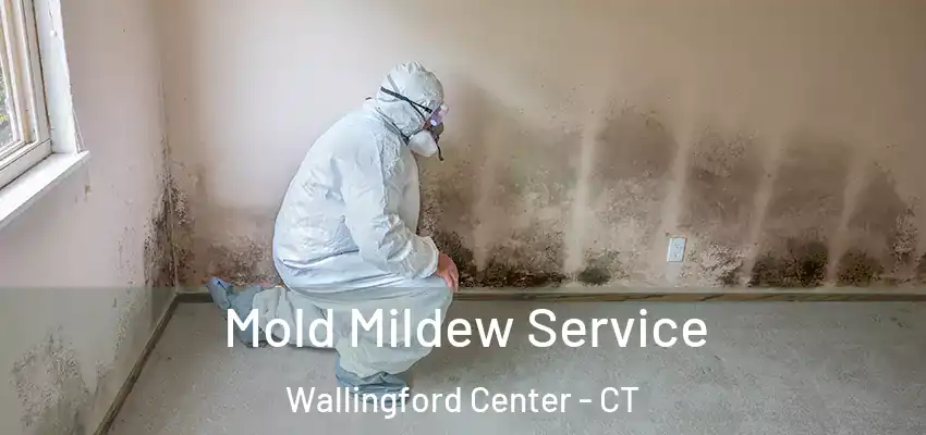  Mold Mildew Service Wallingford Center - CT