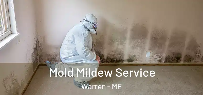 Mold Mildew Service Warren - ME