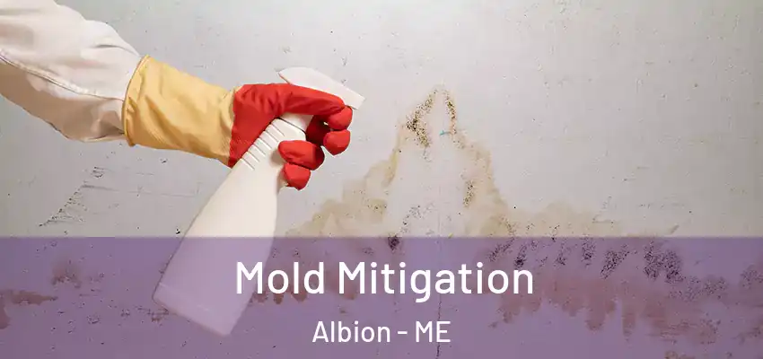 Mold Mitigation Albion - ME