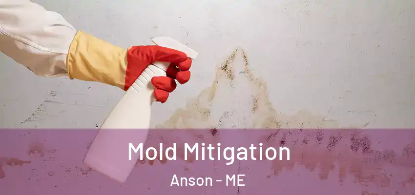 Mold Mitigation Anson - ME