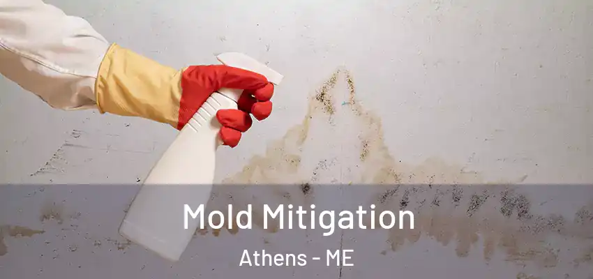 Mold Mitigation Athens - ME