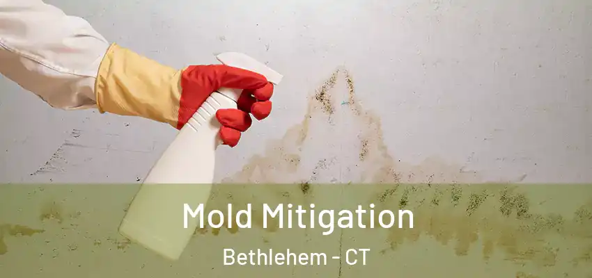 Mold Mitigation Bethlehem - CT