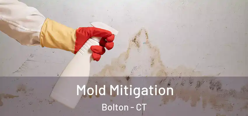 Mold Mitigation Bolton - CT
