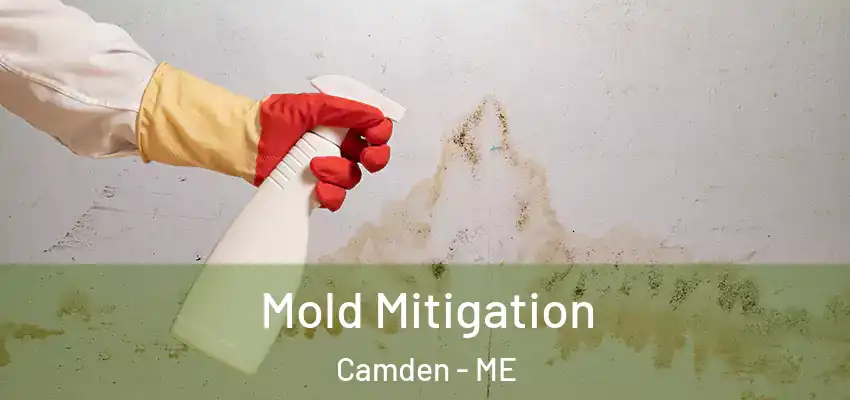 Mold Mitigation Camden - ME