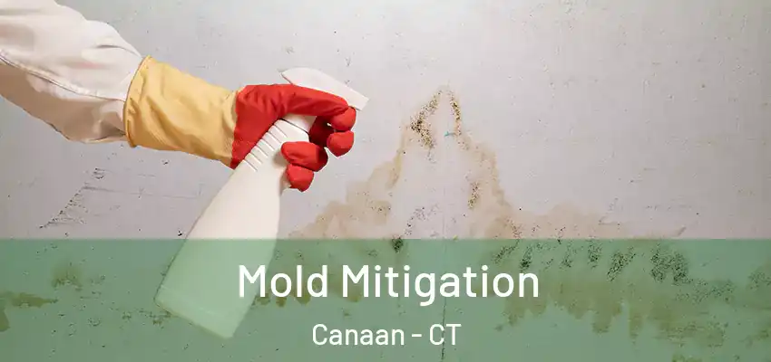 Mold Mitigation Canaan - CT