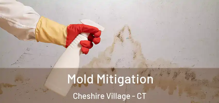  Mold Mitigation Cheshire Village - CT