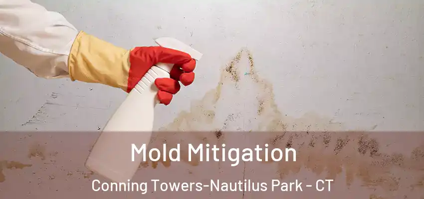  Mold Mitigation Conning Towers-Nautilus Park - CT