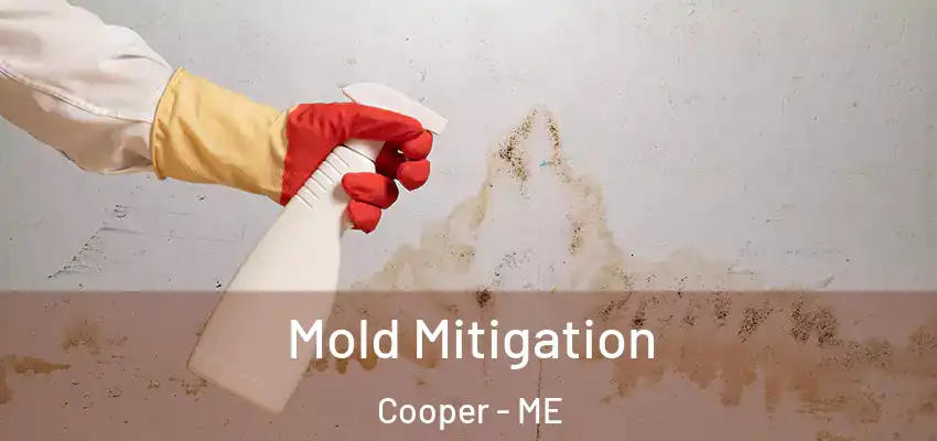 Mold Mitigation Cooper - ME