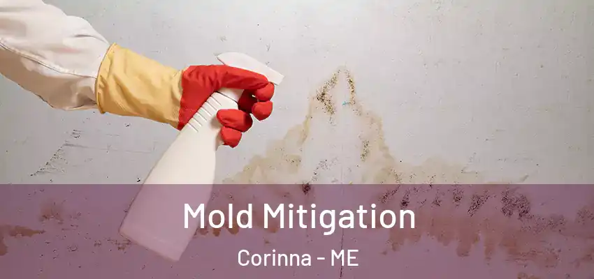 Mold Mitigation Corinna - ME