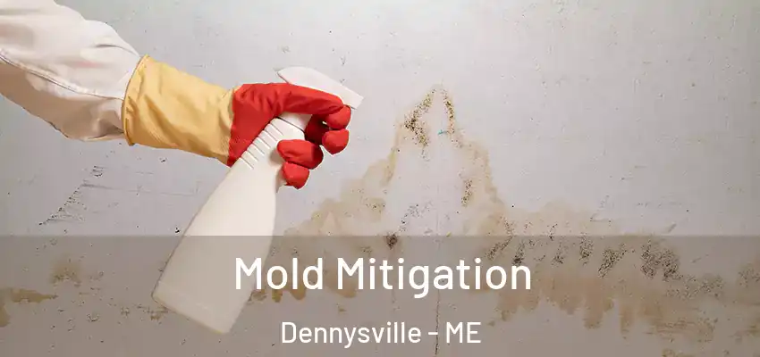 Mold Mitigation Dennysville - ME