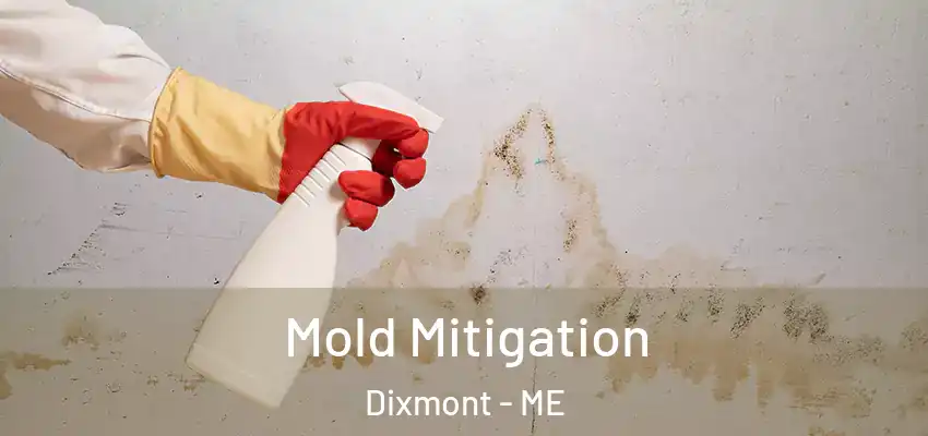 Mold Mitigation Dixmont - ME