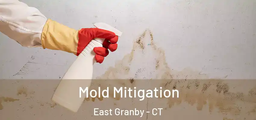  Mold Mitigation East Granby - CT
