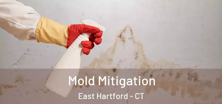 Mold Mitigation East Hartford - CT