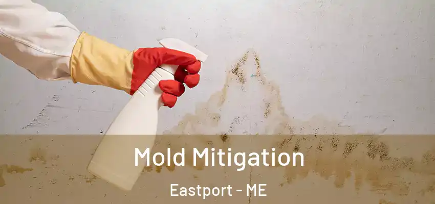 Mold Mitigation Eastport - ME