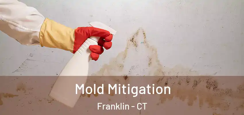 Mold Mitigation Franklin - CT