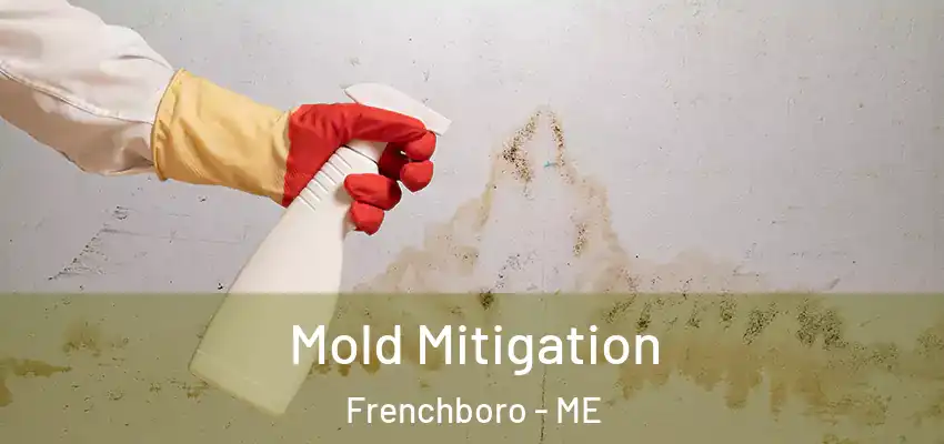 Mold Mitigation Frenchboro - ME