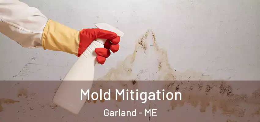 Mold Mitigation Garland - ME