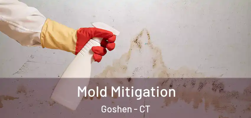 Mold Mitigation Goshen - CT