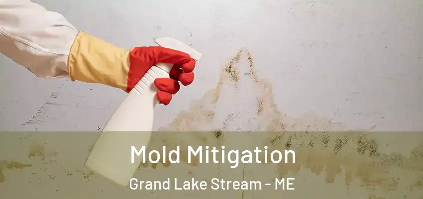 Mold Mitigation Grand Lake Stream - ME
