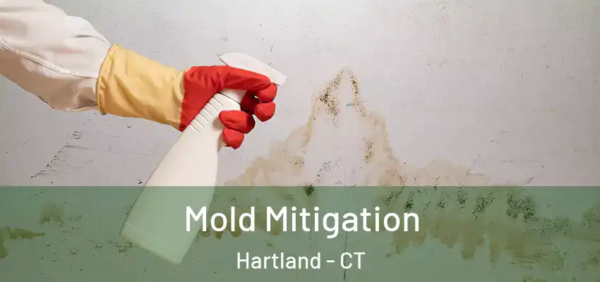 Mold Mitigation Hartland - CT